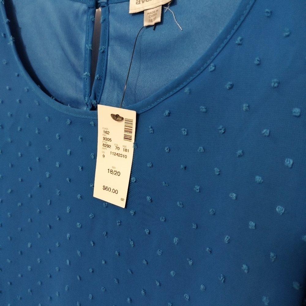 New Dotted Swiss Blue Dress / 2X / Price Dropped! - Picture 5 of 8
